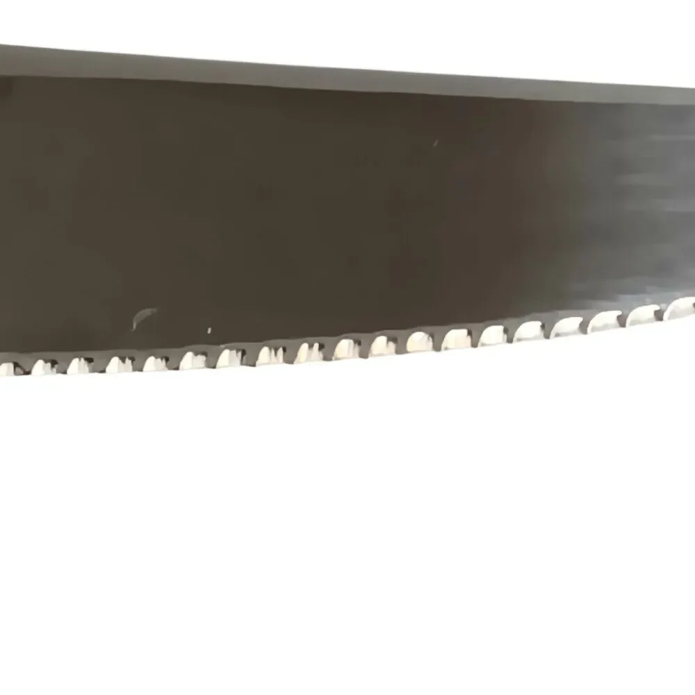 Reed & Barton Queens Garden 12 Steak Knives Glossy Stainless Flatware Floral